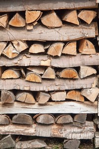 Logs Drying Web Resolution